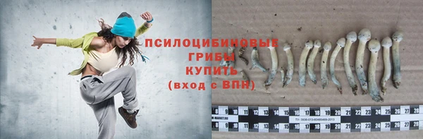 шишки Иннополис