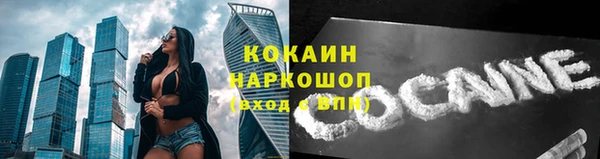 СК Богородицк