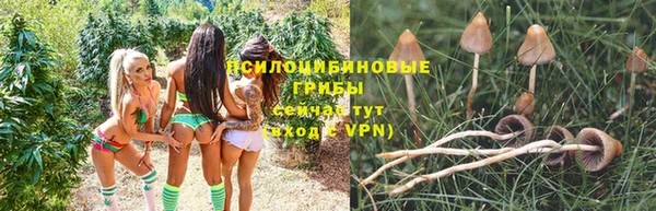 а пвп мука Богданович