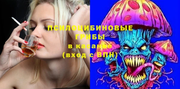 СК Богородицк