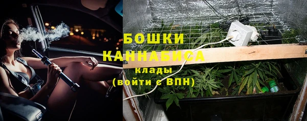 СК Богородицк