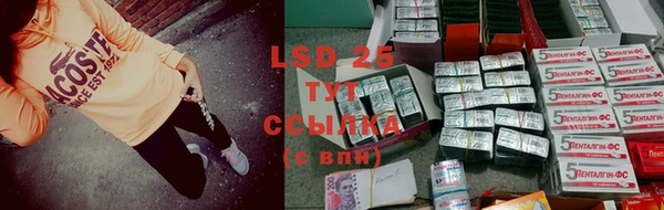 а пвп мука Богданович